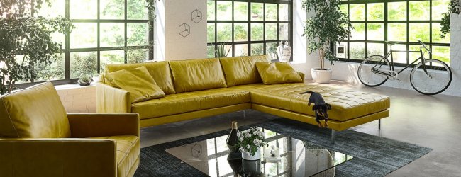 Six Tips for Choosing the Perfect Sofa